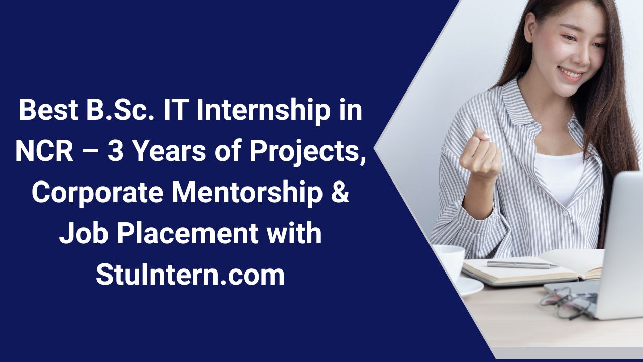 Best B.Sc. IT Internship in NCR – 3 Years of Projects, Corporate Mentorship & Job Placement with StuIntern.com
